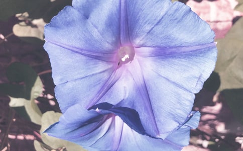 �����͠������n��˼