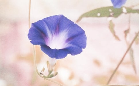 �����͠������n��˼���ϼ�6ƪ��