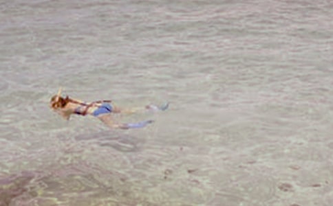 租用潛水船的合同范本