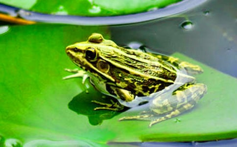 ���o(h��)��������