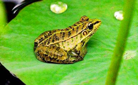 �����o���ܡ����D��Ԓ