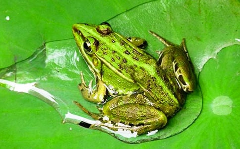 ���o(h��)��������[��(y��u)�x]