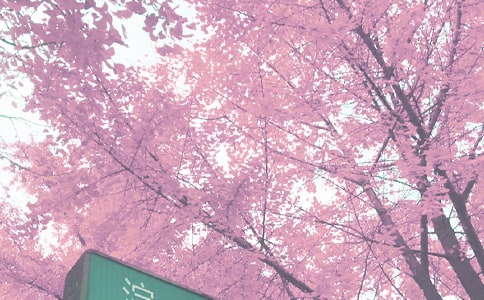 �＾��ĩ�W(xu��)���u�Z