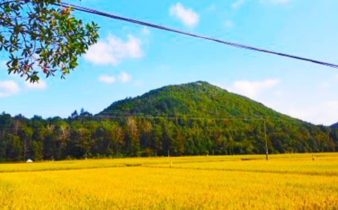 ���յ�ϲ�������\����4ƪ��