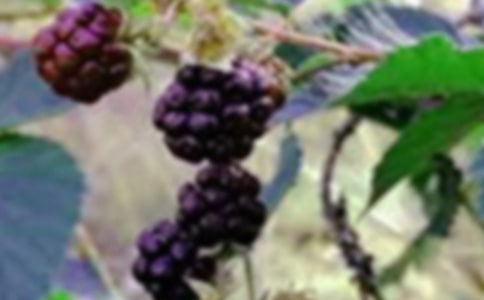 ժɣ������[ͨ��]