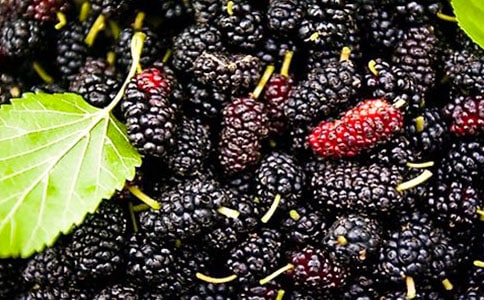 ժɣ������(���])