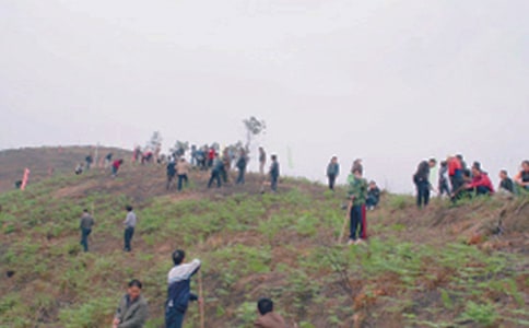 ��Ĺ������13ƪ���؂䣩