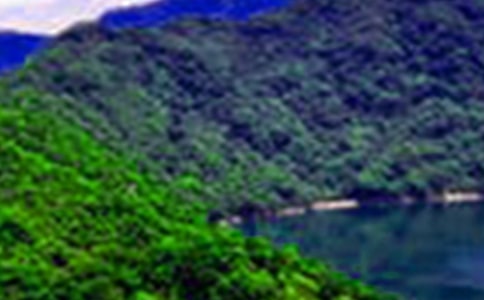 ��һƬɽˮ����