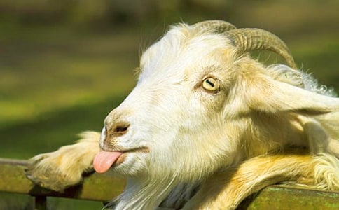 �P(gu��n)��ɽ���^��(d��)ľ������