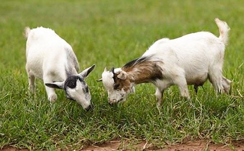 �xɽ�򲻳����ò��и�_1200��