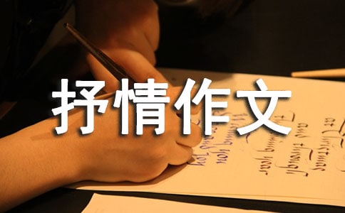 �(y��ng)�⿂���L(f��ng)�����������800��