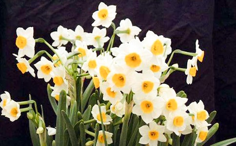 ����(y��u)��ˮ�ɻ�����15ƪ