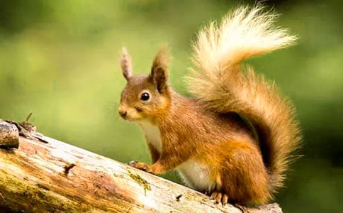 �oС�������