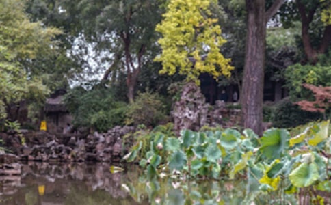 游蘇州園林作文(精選26篇)