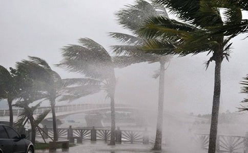 �_�L(f��ng)������(����15ƪ)