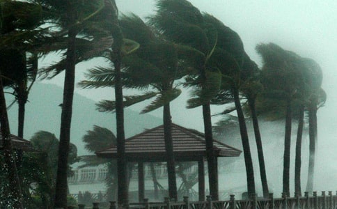 �_�L�^������[��(j��ng)��15ƪ]