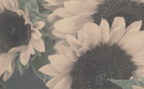 ̫�(y��ng)����һ����800��