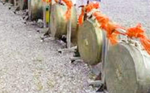 �ؑc�~�Ğ���(d��o)���~1300��