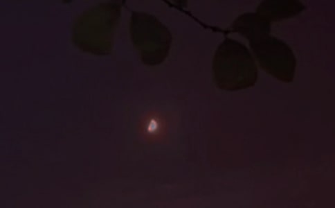 唯美晚安文案300句