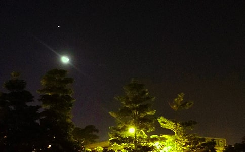 唯美晚安文案400句