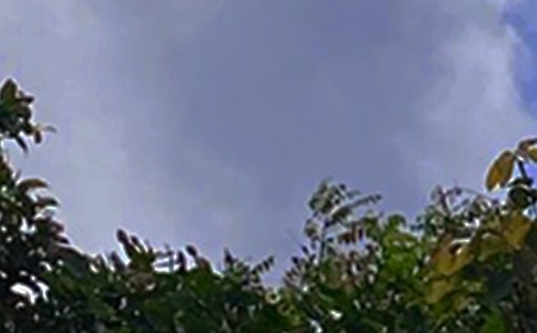 唯美午安文案(通用70句)