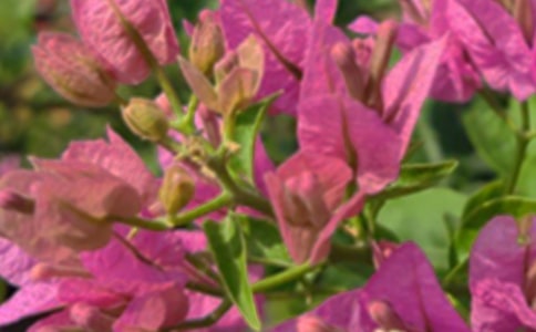 Ψ���簲�İ��R��60��