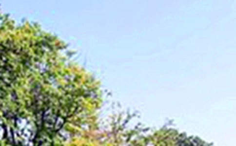 ��(j��ng)��Ψ���簲�İ������x30�䣩