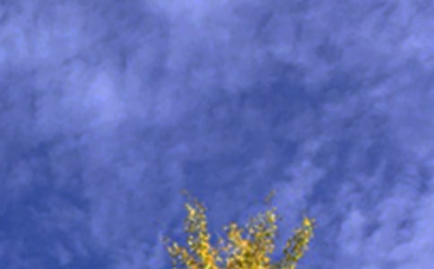 關(guān)于唯美午安文案40句精選