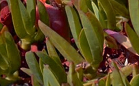 �P(gu��n)���簲�����Z40��