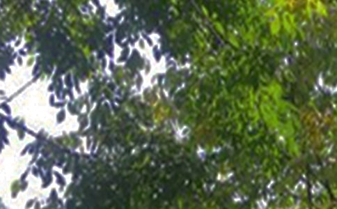 經(jīng)典唯美午安文案50句