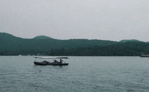 (��)����������