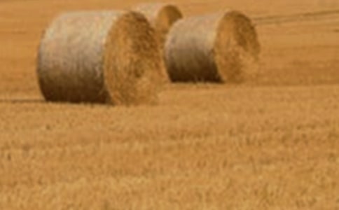 С�������l(f��)�S��ԭ��