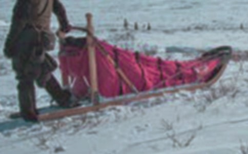 ѩ��Ȯ��������700��