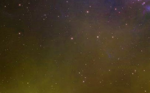 ����Č�������