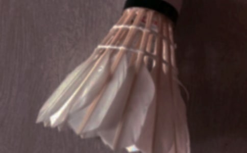 (優(yōu))打羽毛球作文15篇