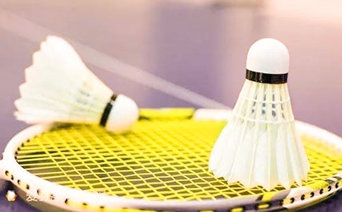 我愛(ài)打羽毛球作文11篇(集合)