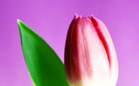 �P(gu��n)������������ģ�ͨ�ã�