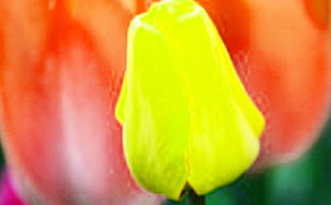 �p���������ľ��x(7ƪ)