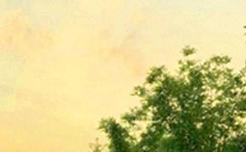 ����Ψ���簲�İ�125�侫�x