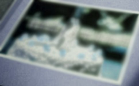 (精)老照片作文