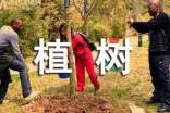 植樹小故事