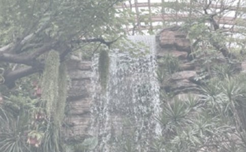 �Ϻ�ֲ��@һ��������