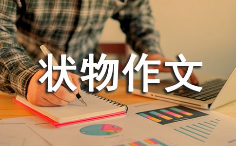 ���x��һ����������ƪ