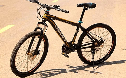 國際環(huán)城自行車賽作文