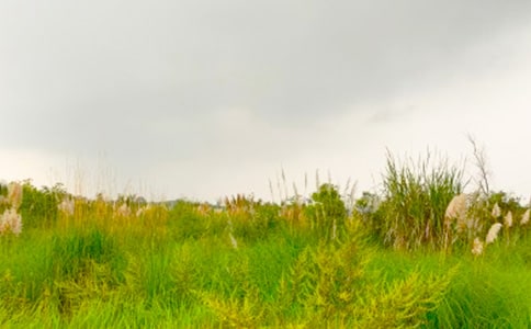 ���M(j��n)���C�Ĵ�������11ƪ