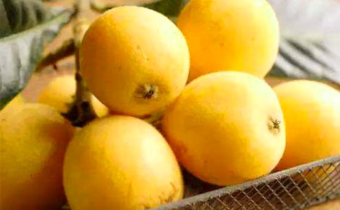 枇杷的作文15篇(精)