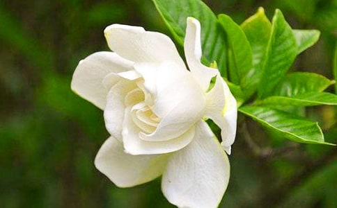 (��(y��u))�d�ӻ��_����15ƪ