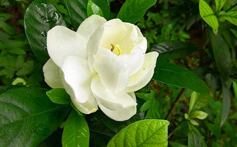 �d�ӻ��_���ķ���[15ƪ]