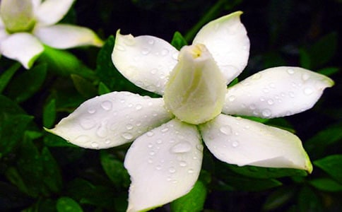 �d�ӻ��_(k��i)���ļ��\10ƪ