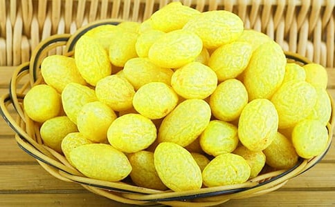 我也曾銜過一枚青橄欖作文